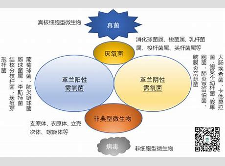 即将淘汰别犯傻3d显示器相关文章最新报道 六类显示器买后必后悔 