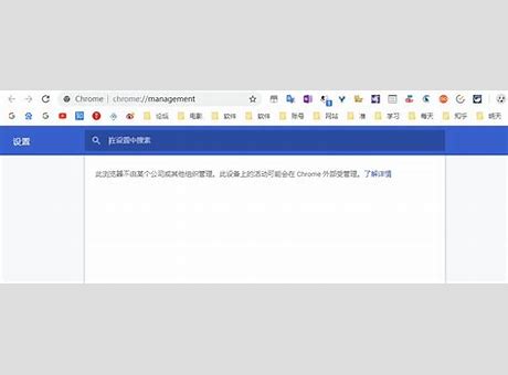 新版chrome Chrome 网络浏览器